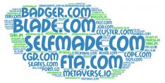 Domainhandel Top20 Domain Sales Report 2021 KW09/KW10